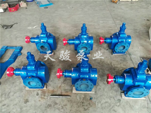 上海圆弧齿轮泵