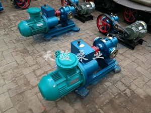 上海罗茨泵蒸馏泵